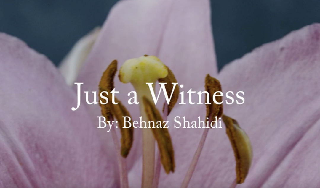 Just a Witness – By Behnaz Shahidi