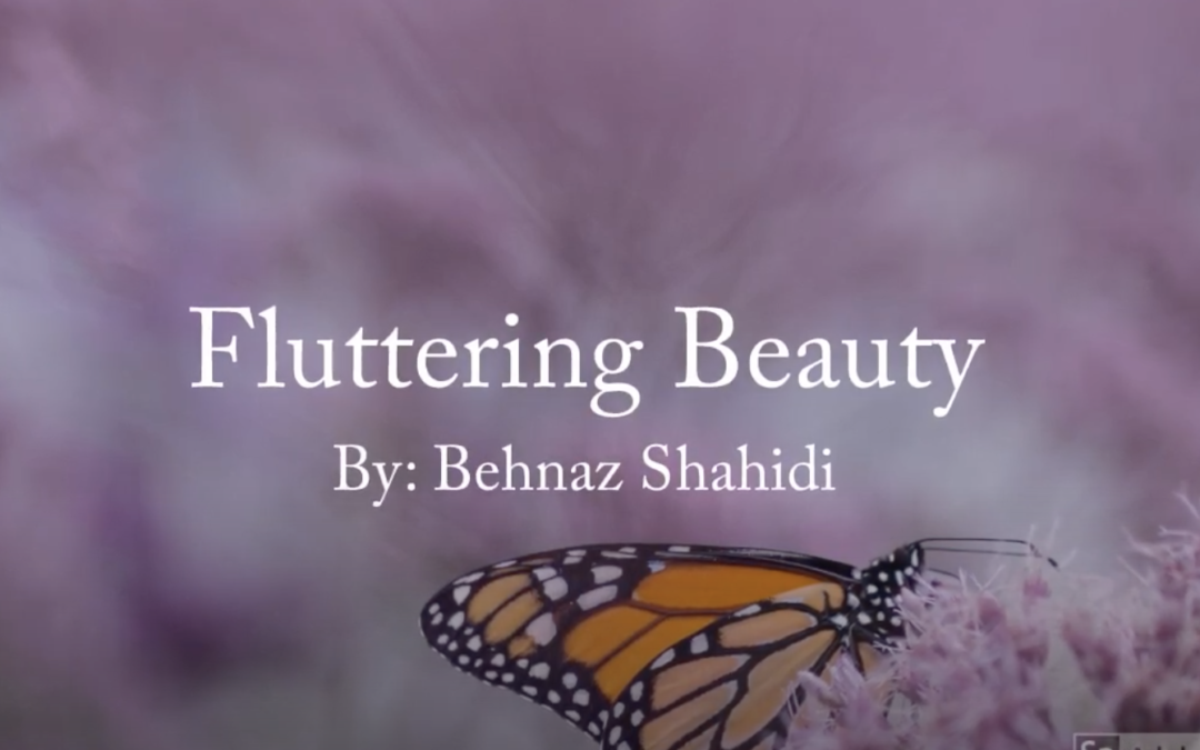 Fluttering Beauty – By Behnaz Hero