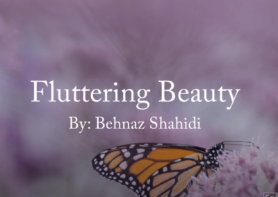 Fluttering Beauty – By Behnaz Shahidi