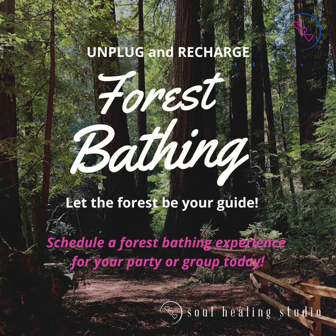 Forest Bathing for Groups